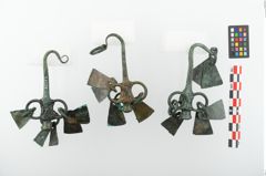 Foto von Bronzeachsnagel (NHMW-PRAE-025272)